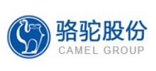 骆驼集团股份有限公司