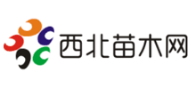 西北苗木网