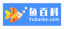 鱼百科