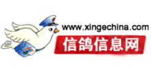信鸽中国网