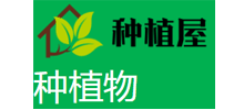 种植屋