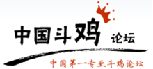 中国斗鸡论坛