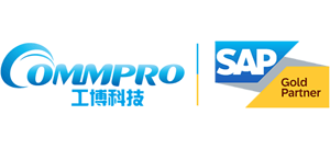SAP系统实施服务商