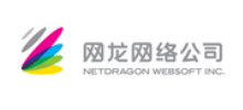网龙网络公司